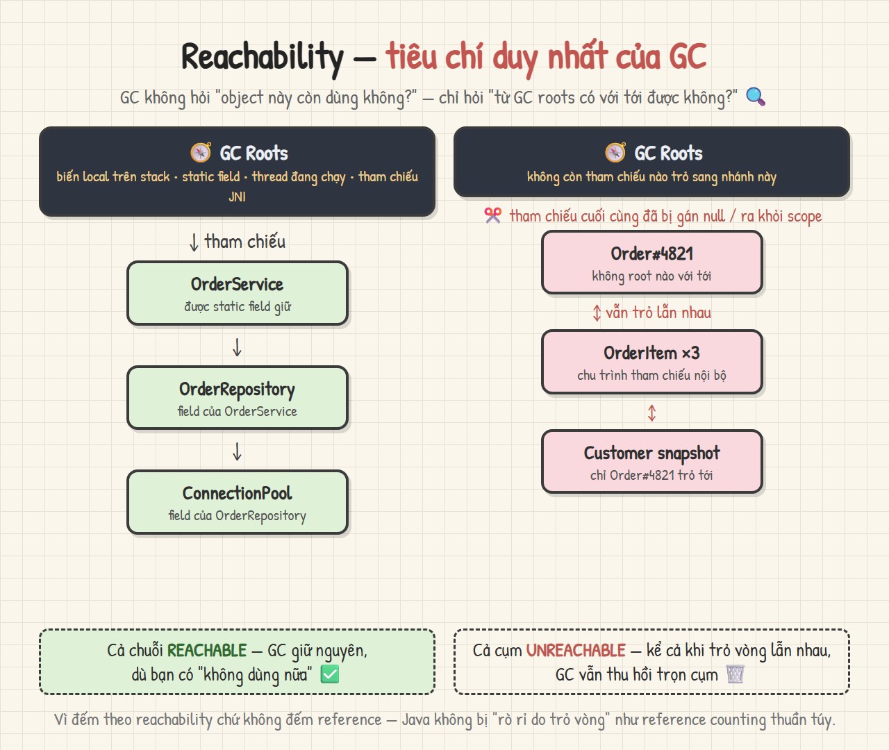 Sơ đồ reachability: GC roots (biến local, static field, thread, JNI) lần theo tham chiếu tới chuỗi object reachable được giữ nguyên; cụm object không root nào với tới — kể cả khi trỏ vòng lẫn nhau — bị thu hồi trọn cụm